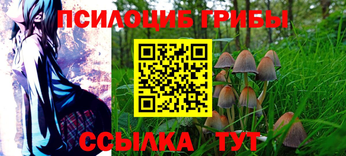 Псилоцибиновые грибы Magic Shrooms Гудермес