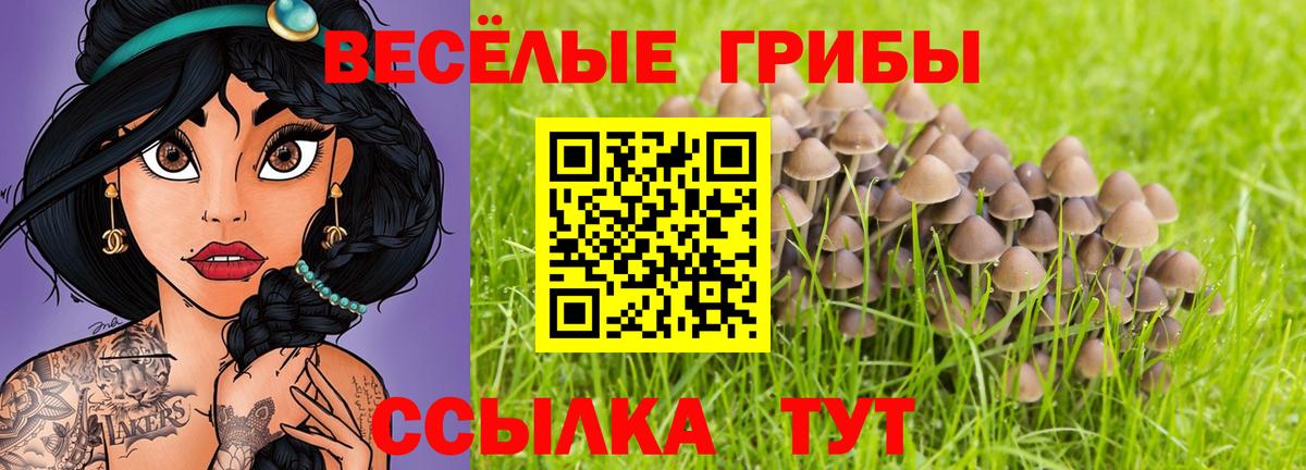 Гудермес  как найти закладки  Вход с VPN  Галлюциногенные грибы Psilocybine cubensis 